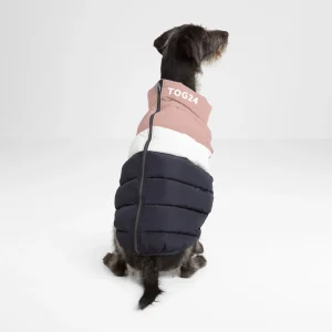 Fashion TOG24 Fetch Dog Coat XL In Faded Pink/Grey/Washed Blue | Faded Pink/Ice Grey/Washed Blue