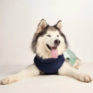 New TOG24 Fetch Padded Dog Coat L Oxford Blue/Light Mist/Lavender Grey