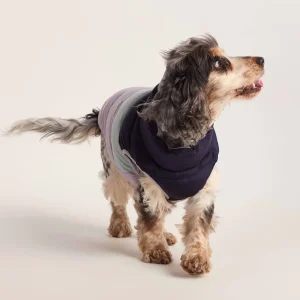 Online TOG24 Fetch Padded Dog Coat M Oxford Blue/Light Mist/Lavender Grey