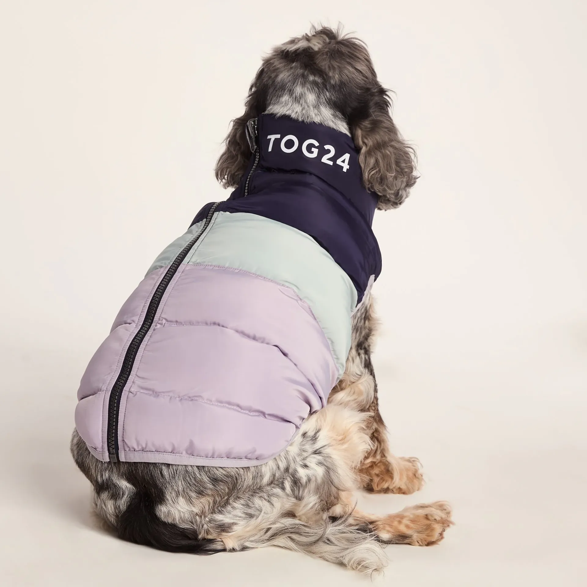 fetch-padded-dog-coat-m-oxford-cDkbPILy-1.webp Online TOG24 Fetch Padded Dog Coat M Oxford Blue/Light Mist/Lavender Grey