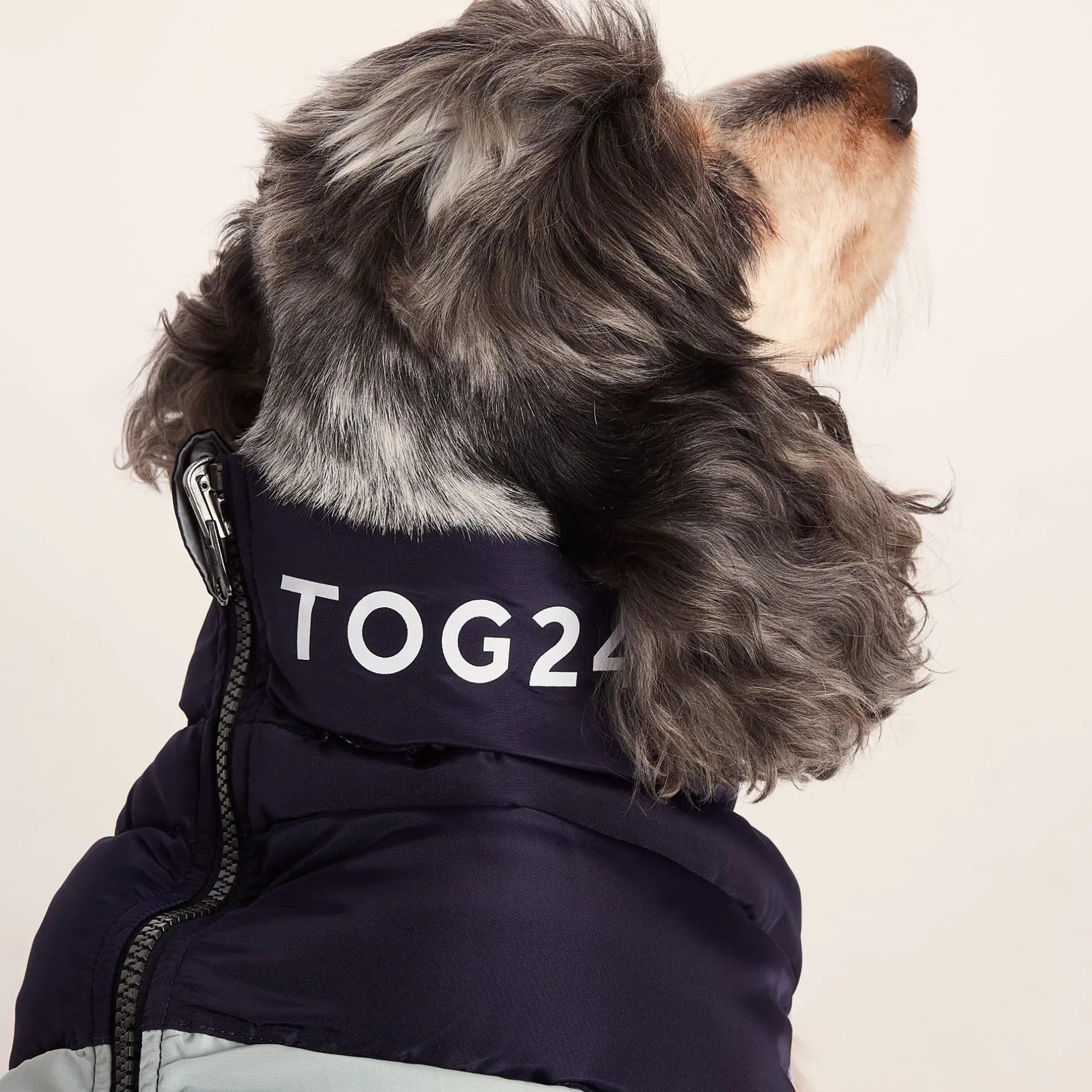 fetch-padded-dog-coat-m-oxford-cDkbPILy-2.webp Online TOG24 Fetch Padded Dog Coat M Oxford Blue/Light Mist/Lavender Grey