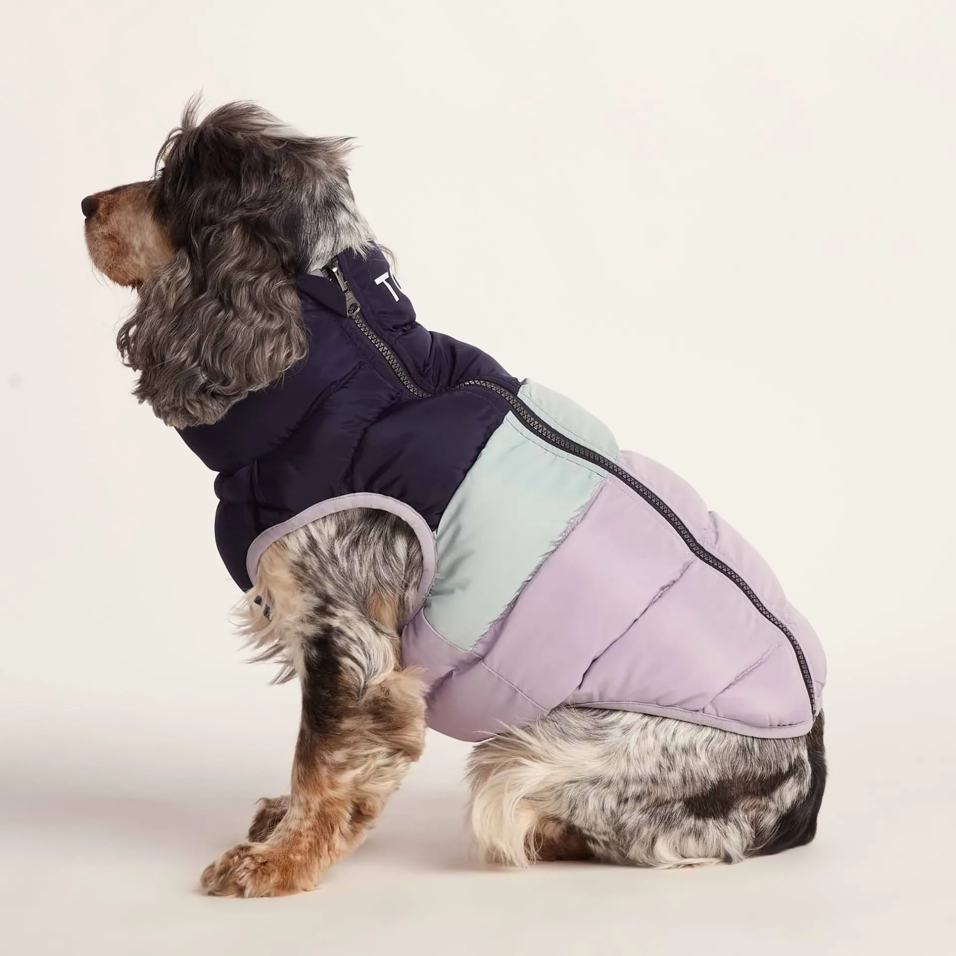 fetch-padded-dog-coat-m-oxford-cDkbPILy-3.webp Online TOG24 Fetch Padded Dog Coat M Oxford Blue/Light Mist/Lavender Grey