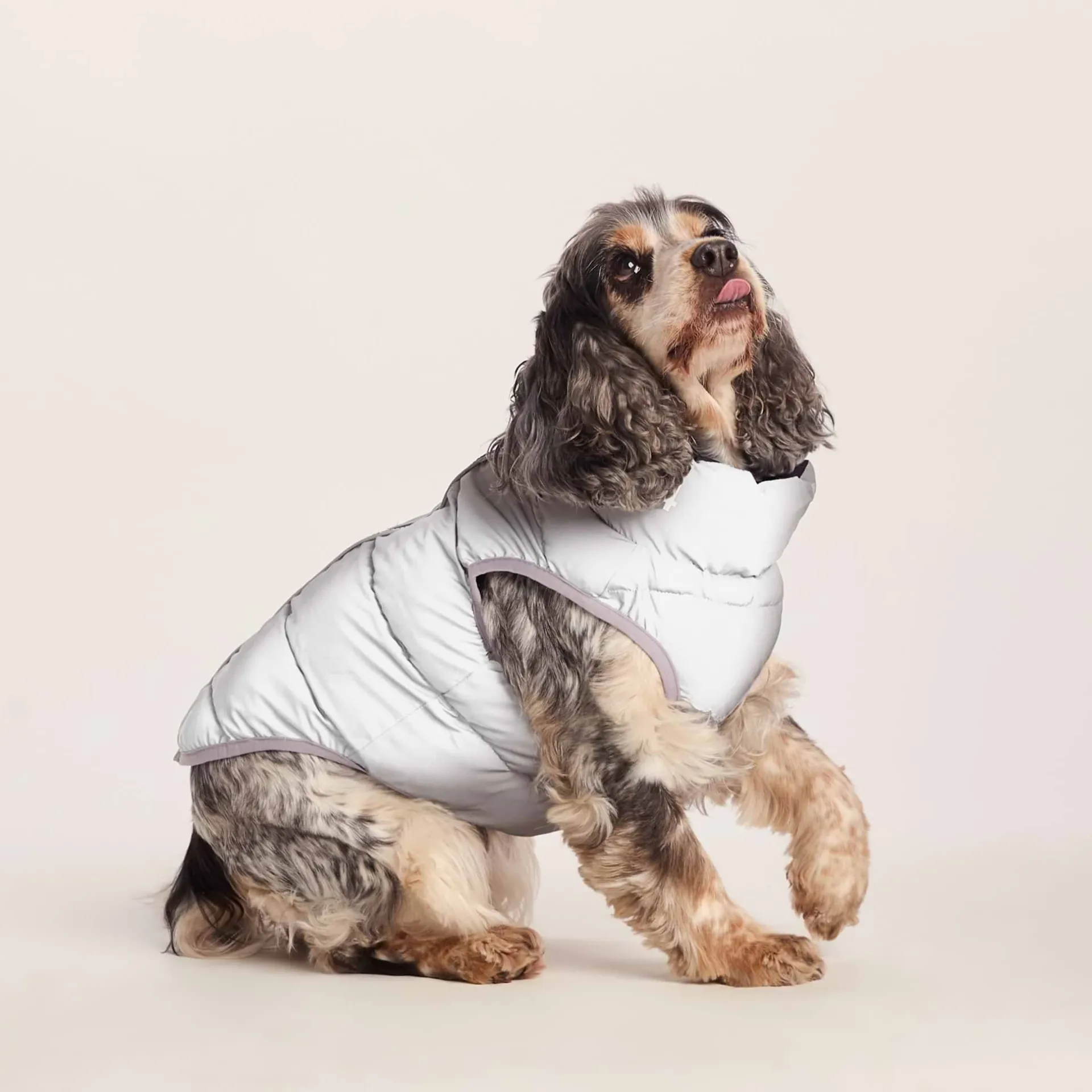 fetch-padded-dog-coat-m-oxford-cDkbPILy-4.webp Online TOG24 Fetch Padded Dog Coat M Oxford Blue/Light Mist/Lavender Grey