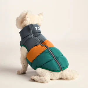 Clearance TOG24 Fetch Padded Dog Coat S Dark Indigo/Mahogany Orange/Dark Turquoise