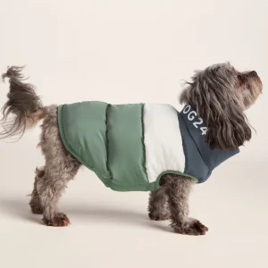 Outlet TOG24 Fetch Padded Dog Coat XS Dark Indigo/Vanilla/Light Forest