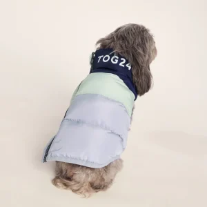 Fashion TOG24 Fetch Padded Dog Coat XS Oxford Blue/Light Mist/Lavender Grey