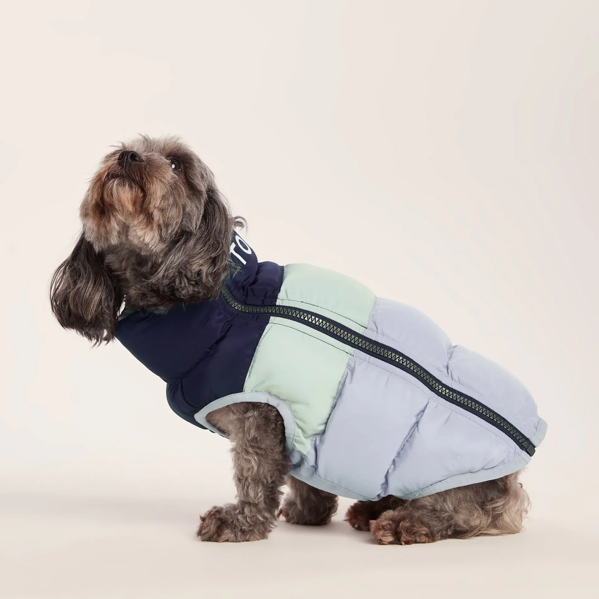 fetch-padded-dog-coat-xs-oxfor-SBWxkiko-2.webp Fashion TOG24 Fetch Padded Dog Coat XS Oxford Blue/Light Mist/Lavender Grey