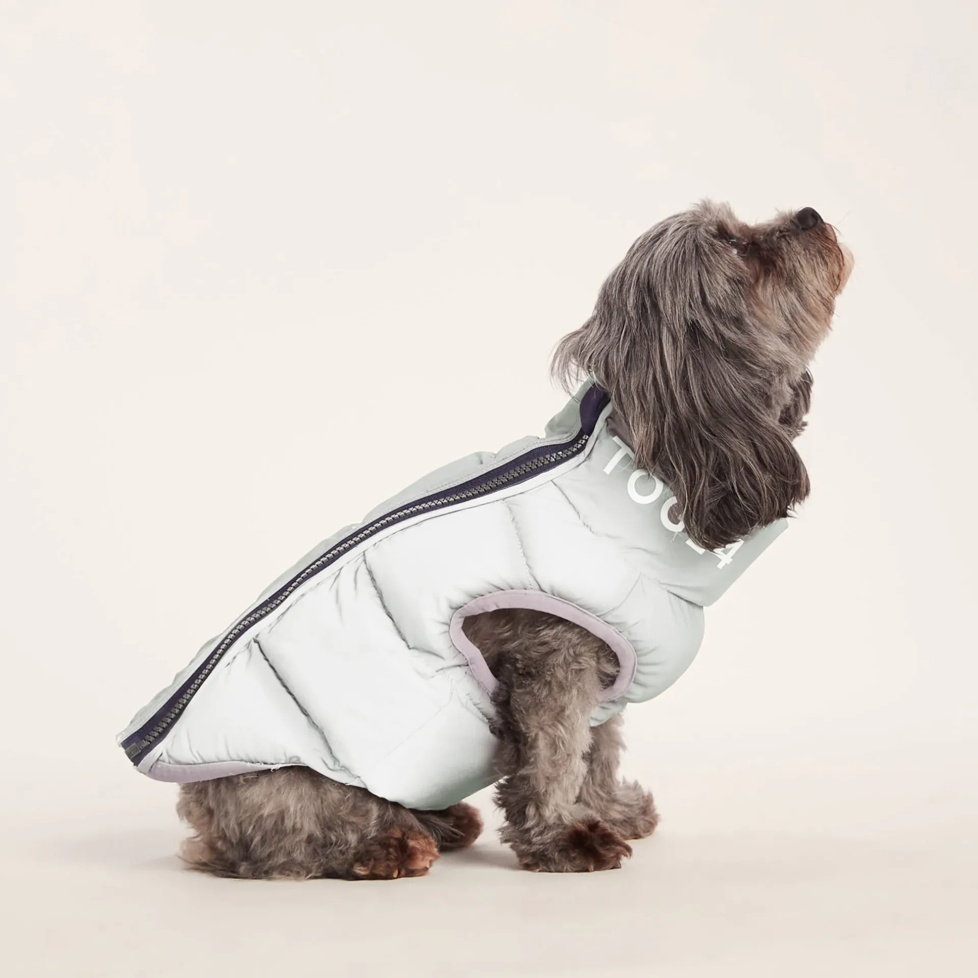 fetch-padded-dog-coat-xs-oxfor-SBWxkiko-5.webp Fashion TOG24 Fetch Padded Dog Coat XS Oxford Blue/Light Mist/Lavender Grey