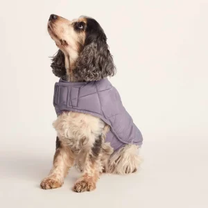 Sale TOG24 Fido Padded Dog Coat M Dusky Lilac