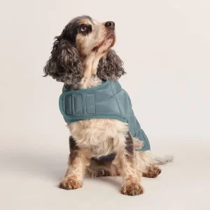 New TOG24 Fido Padded Dog Coat M Graphite