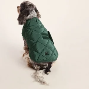 Hot TOG24 Fido Padded Dog Coat M Racing Green