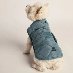 Discount TOG24 Fido Padded Dog Coat S Graphite