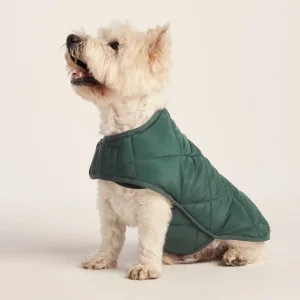 Clearance TOG24 Fido Padded Dog Coat S Racing Green