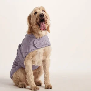 Online TOG24 Fido Padded Dog Coat XL Dusky Lilac