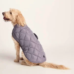 Online TOG24 Fido Padded Dog Coat XL Dusky Lilac