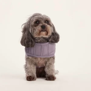 Clearance TOG24 Fido Padded Dog Coat XS Dusky Lilac