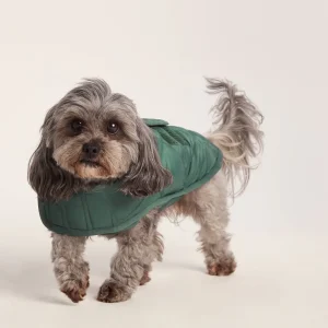 Online TOG24 Fido Padded Dog Coat XS Racing Green