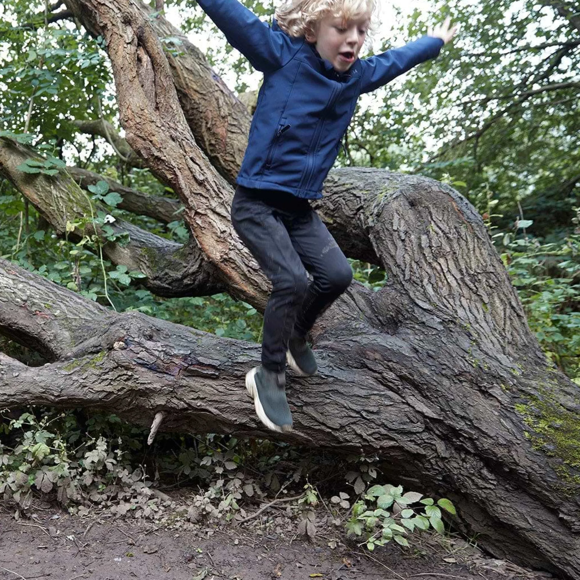 navy-blue-koroma-kids-softshel-TsuByQvk-4.webp Online TOG24 Blue Koroma Kids Softshell Hooded Jacket | Navy