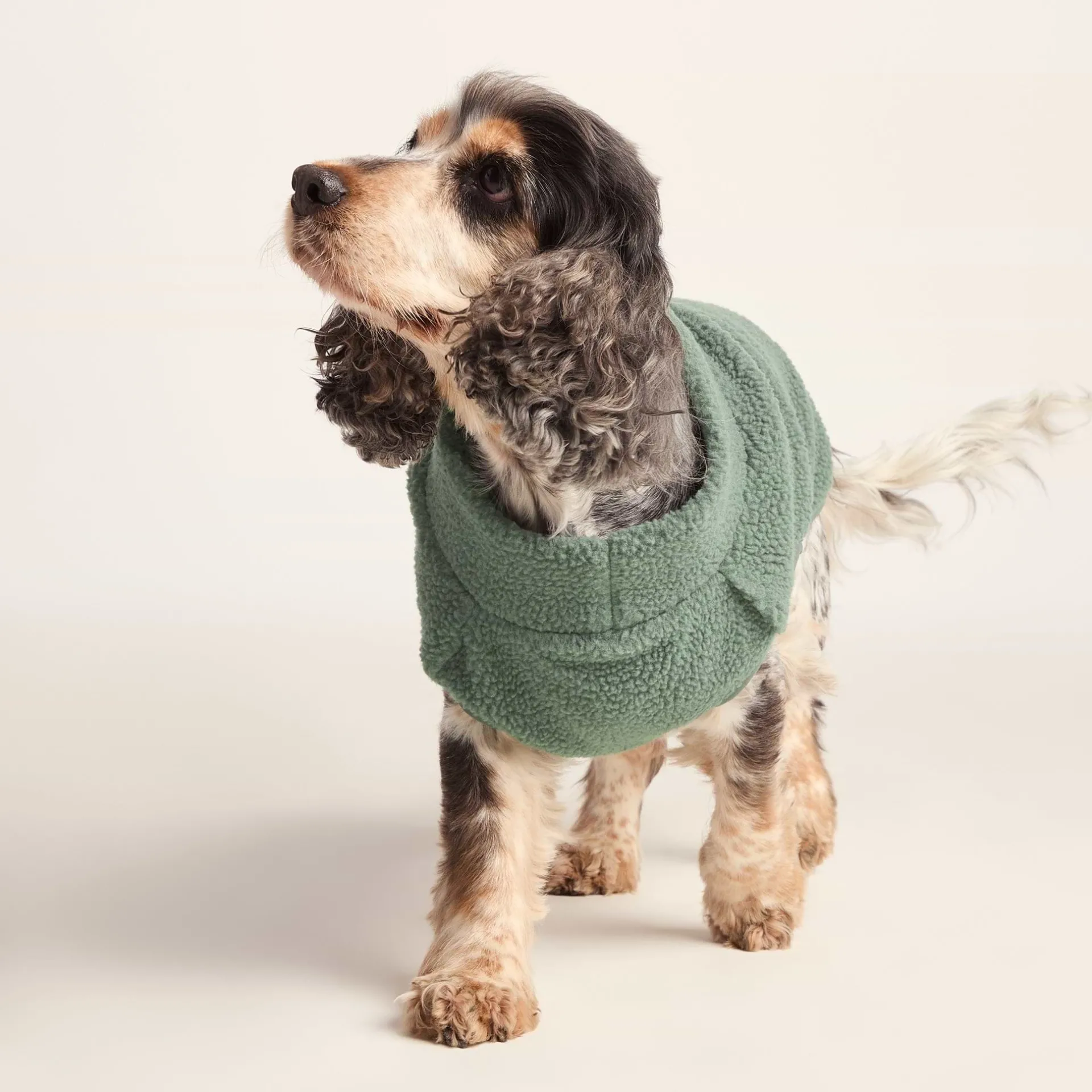 rover-sherpa-dog-coat-m-light-MuKQWWxV-0.webp Outlet TOG24 Rover Sherpa Dog Coat M Light Forest