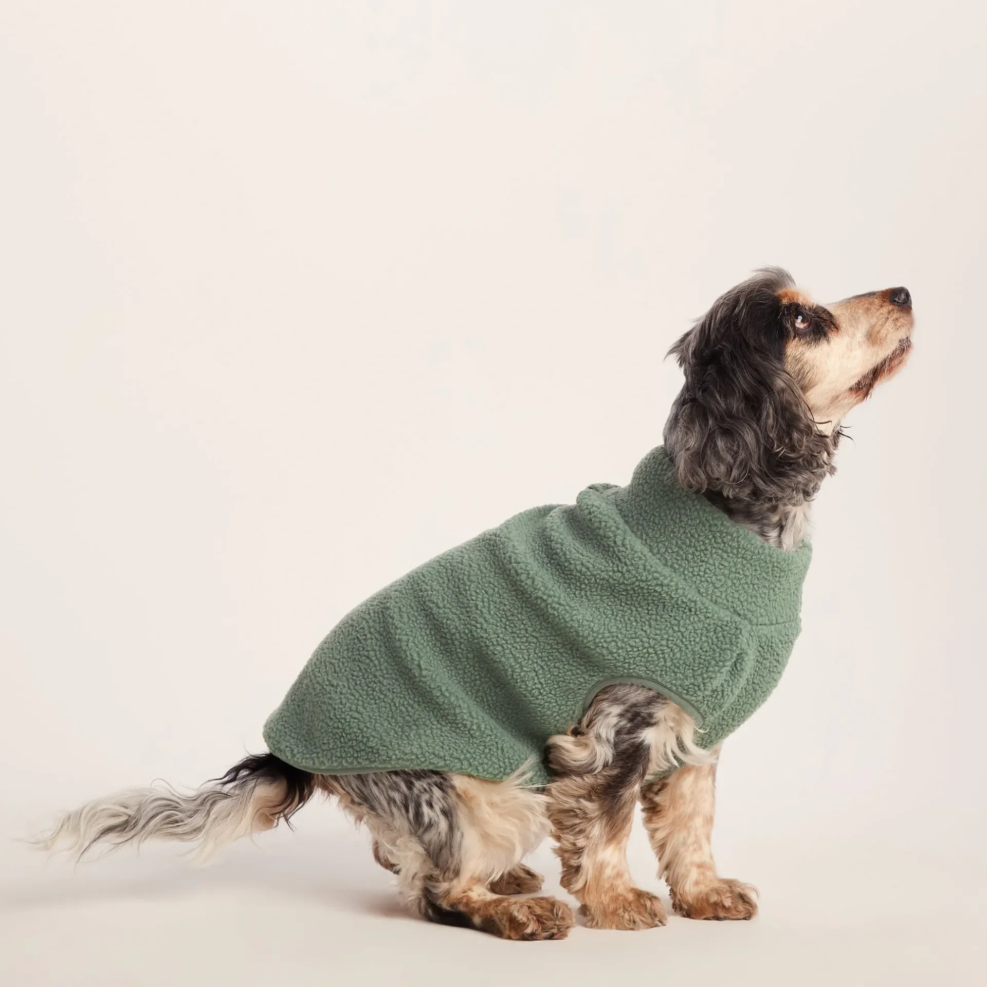 rover-sherpa-dog-coat-m-light-MuKQWWxV-1.webp Outlet TOG24 Rover Sherpa Dog Coat M Light Forest
