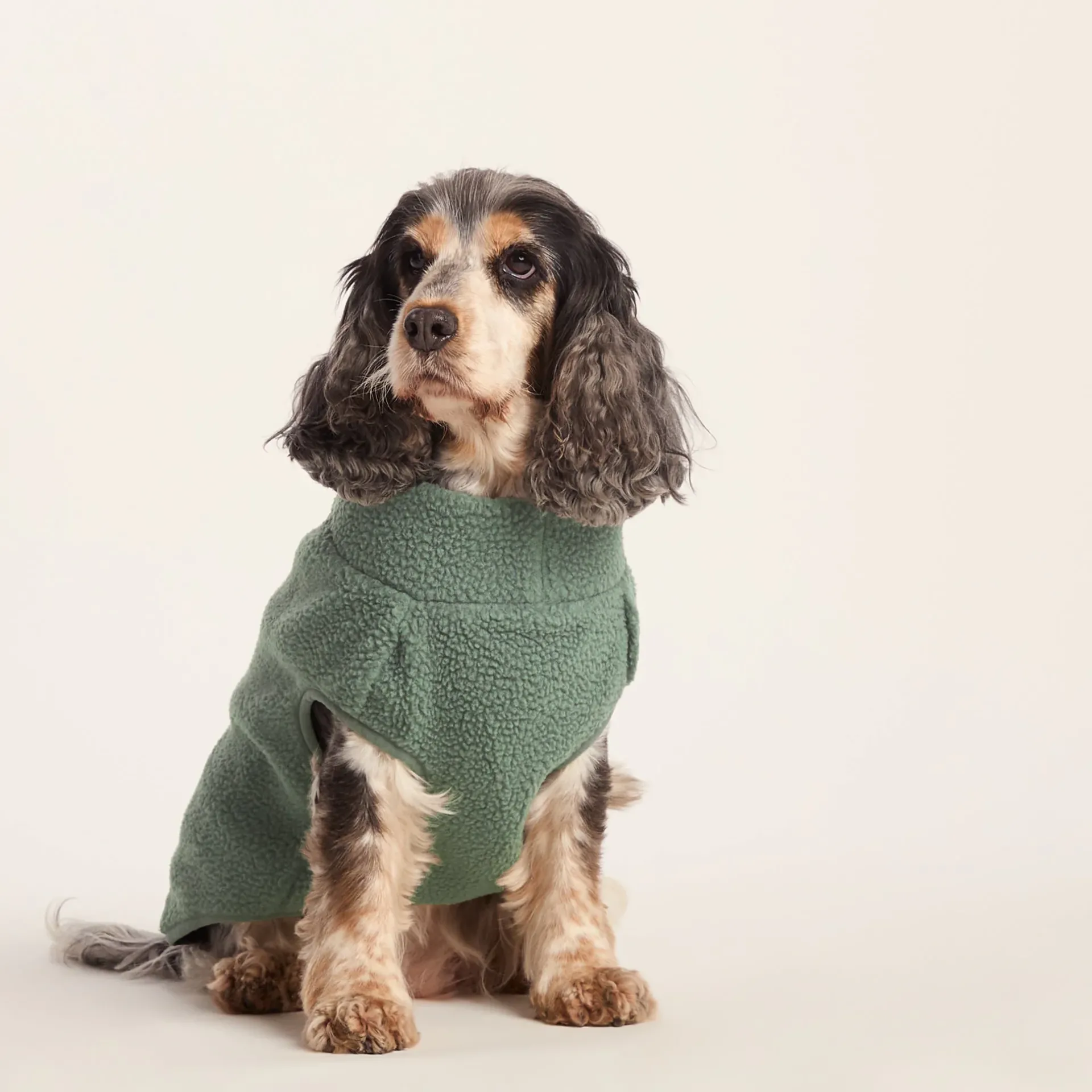 rover-sherpa-dog-coat-m-light-MuKQWWxV-4.webp Outlet TOG24 Rover Sherpa Dog Coat M Light Forest