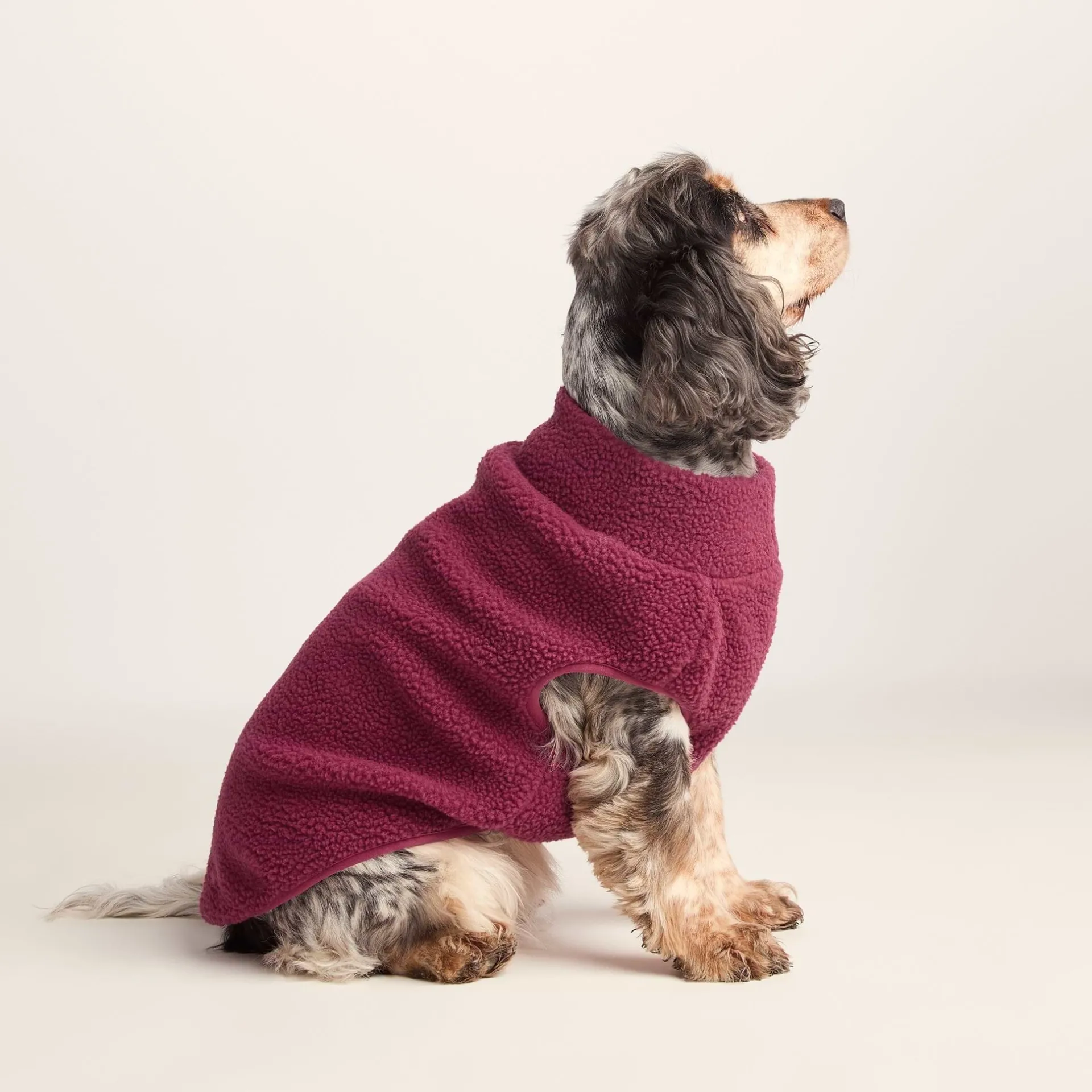 rover-sherpa-dog-coat-m-washed-DEomdKsy-2.webp Sale TOG24 Rover Sherpa Dog Coat M Washed Burgundy