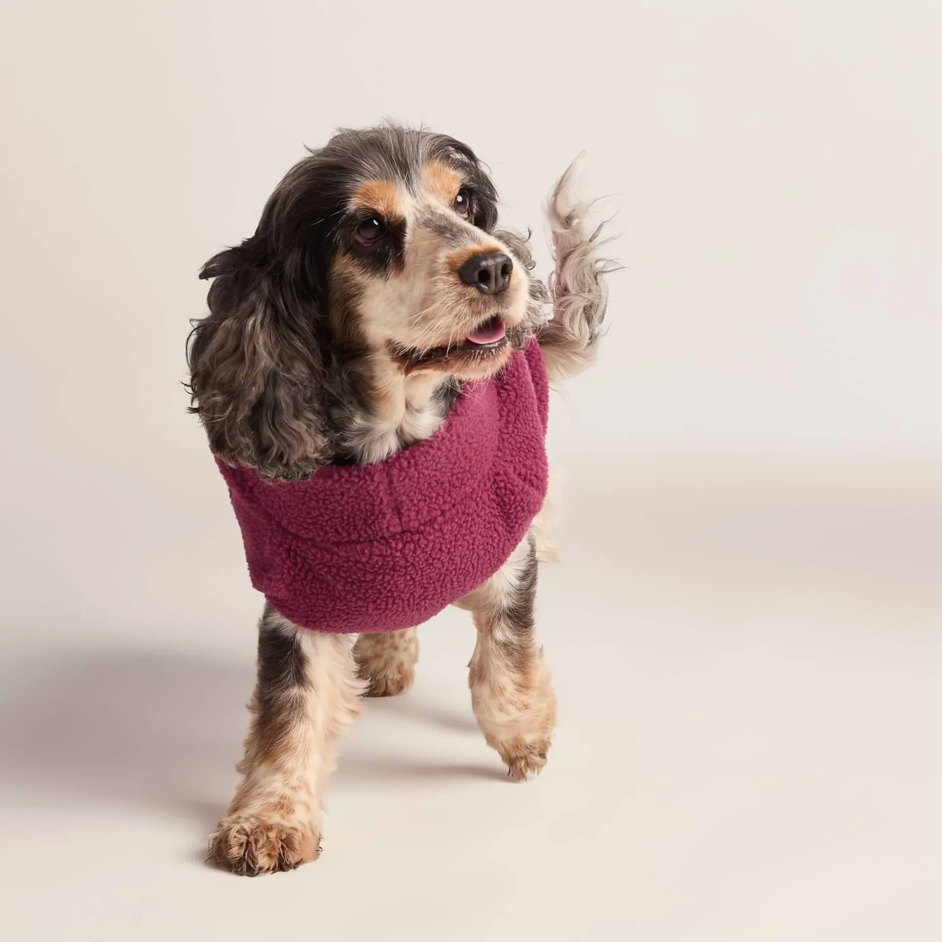 rover-sherpa-dog-coat-m-washed-DEomdKsy-4.webp Sale TOG24 Rover Sherpa Dog Coat M Washed Burgundy