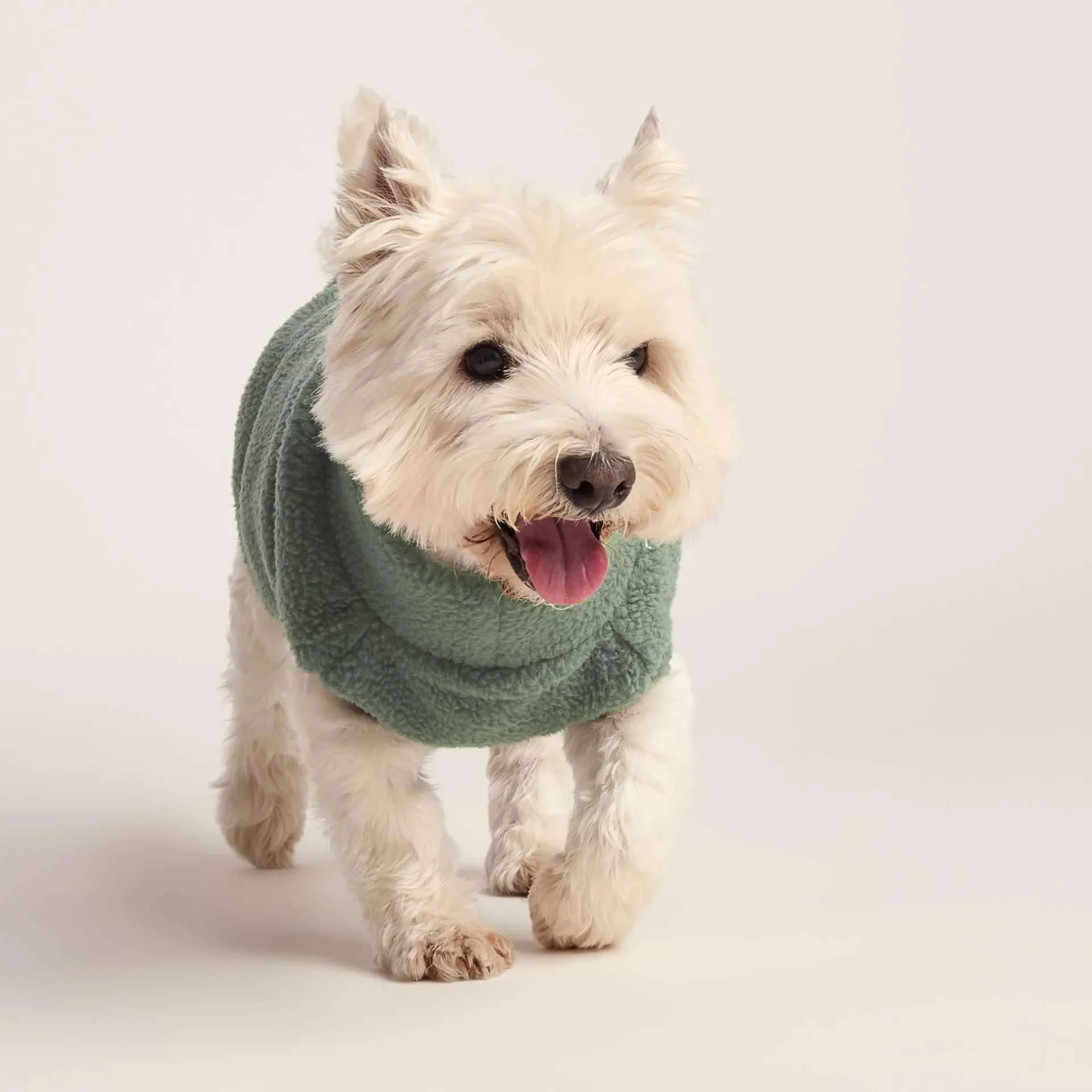 rover-sherpa-dog-coat-s-light-FMIWqshU-0.webp Hot TOG24 Rover Sherpa Dog Coat S Light Forest