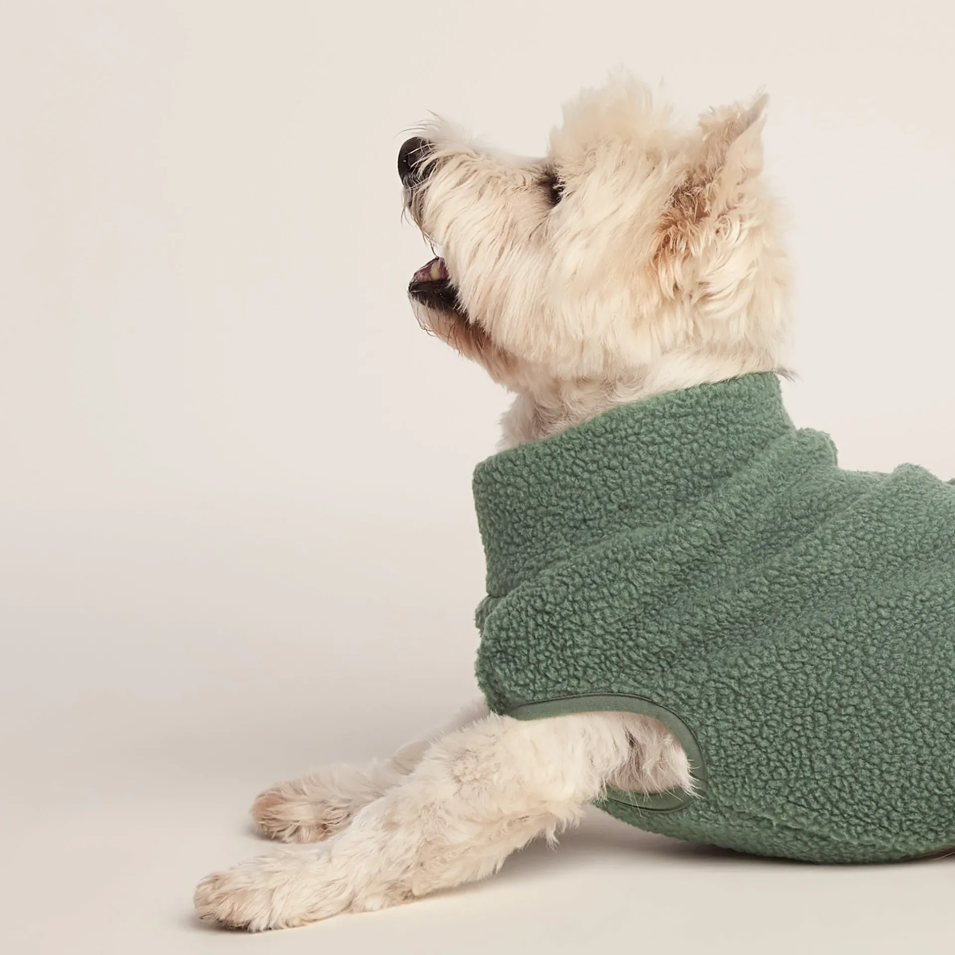 rover-sherpa-dog-coat-s-light-FMIWqshU-3.webp Hot TOG24 Rover Sherpa Dog Coat S Light Forest