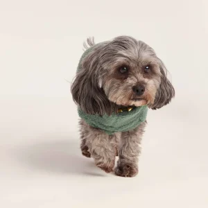 Outlet TOG24 Rover Sherpa Dog Coat XS Light Forest