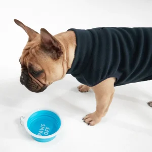 New TOG24 ThIrsty Dog Bowl Light Turquoise